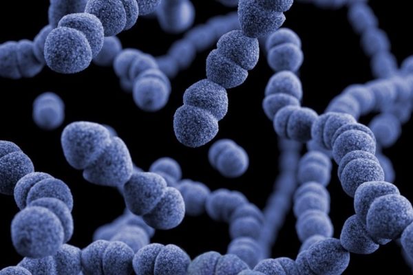 NICE tests a new approach for evaluating and reimbursing antimicrobials