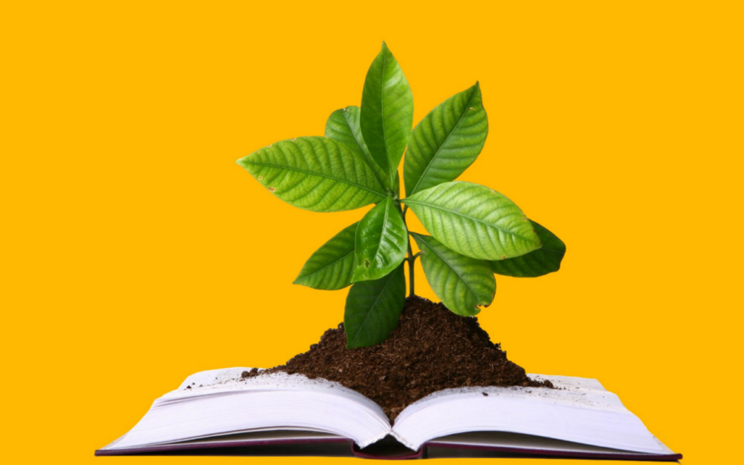 One year in HEOR: growing as medical writers at Source