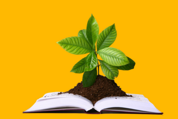 One year in HEOR: growing as medical writers at Source