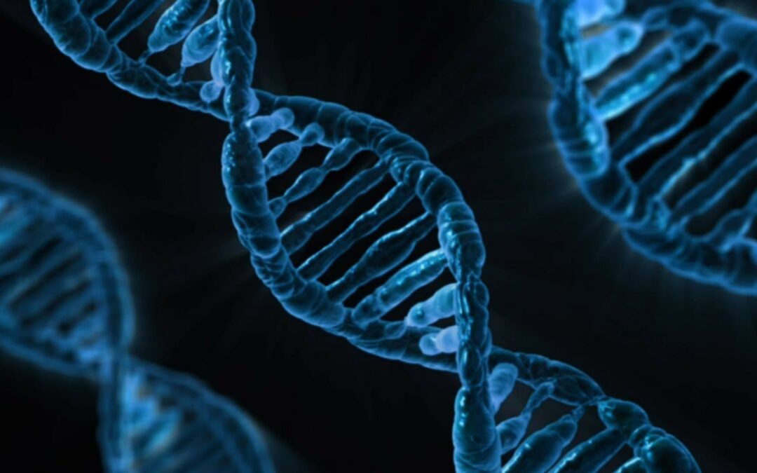 Newborn genome screening: implications for health technology assessments of new orphan drugs