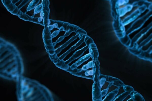 Newborn genome screening: implications for health technology assessments of new orphan drugs